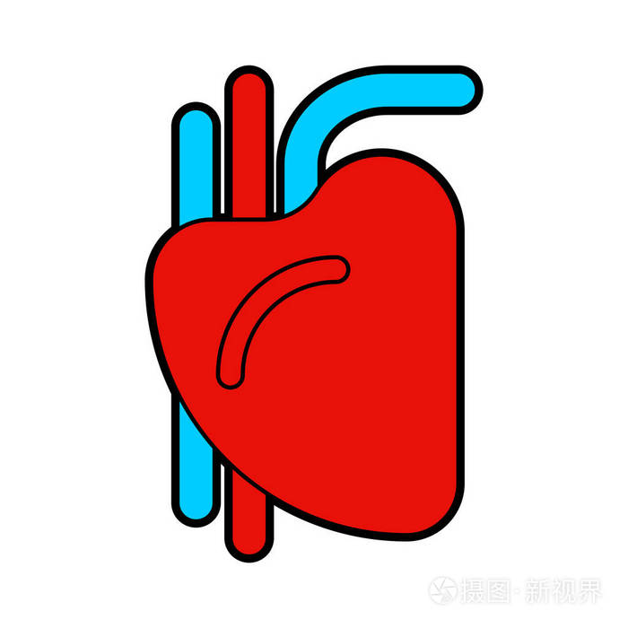 心脏人类标志人的器官矢量图案
