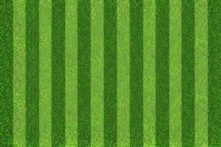 绿色的足球场的背景。顶视图