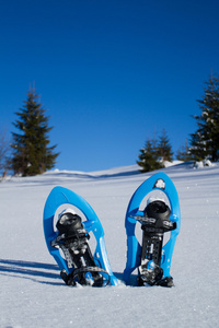 雪地行走。在雪地的滑雪鞋