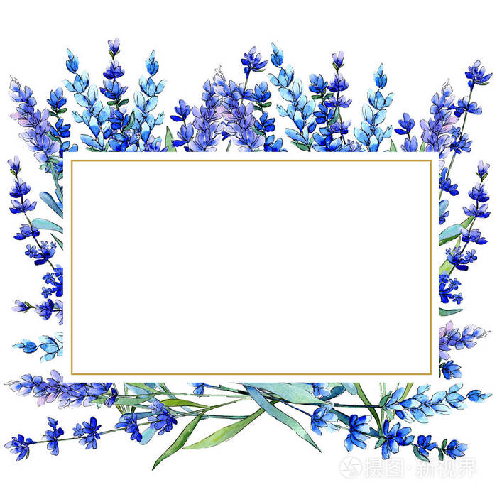 蓝色薰衣草.花卉植物花.水彩风格的野春叶野花框架