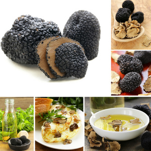拼贴蘑菇黑松和风味的橄榄油图片