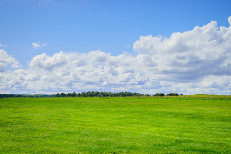 绿色的田野和蓝蓝的天空与云背景
