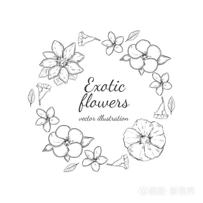 单色的花环装饰圆概念插画-正版商用图片0pn0zl-摄图新视界