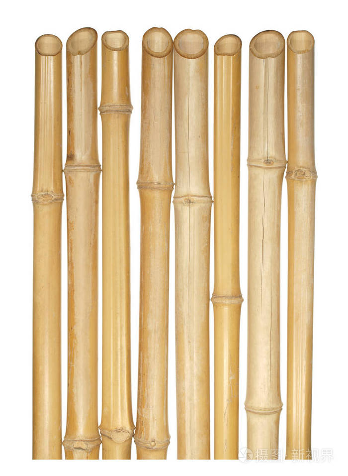各种厚度的干竹孤立主人家的树干
