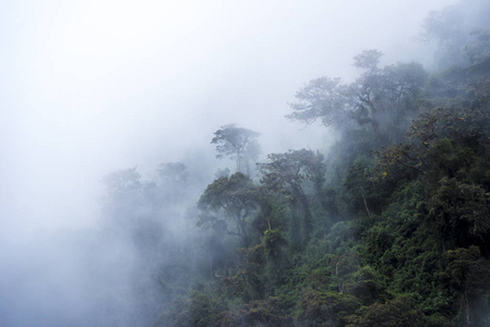 Salkantay 徒步旅行秘鲁