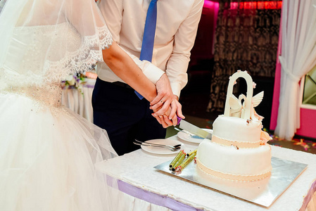 新娘和新郎切白色两层婚礼蛋糕