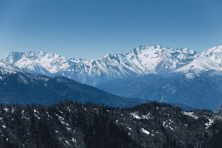 在阳光明媚的天气下, 落基山脉的积雪山峰的景观.