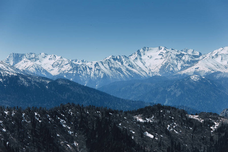 在阳光明媚的天气下, 落基山脉的积雪山峰的景观。自然与旅行的概念