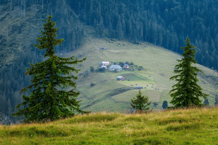 喀尔巴阡山脉。Dzembronya 的绿色山坡上山村