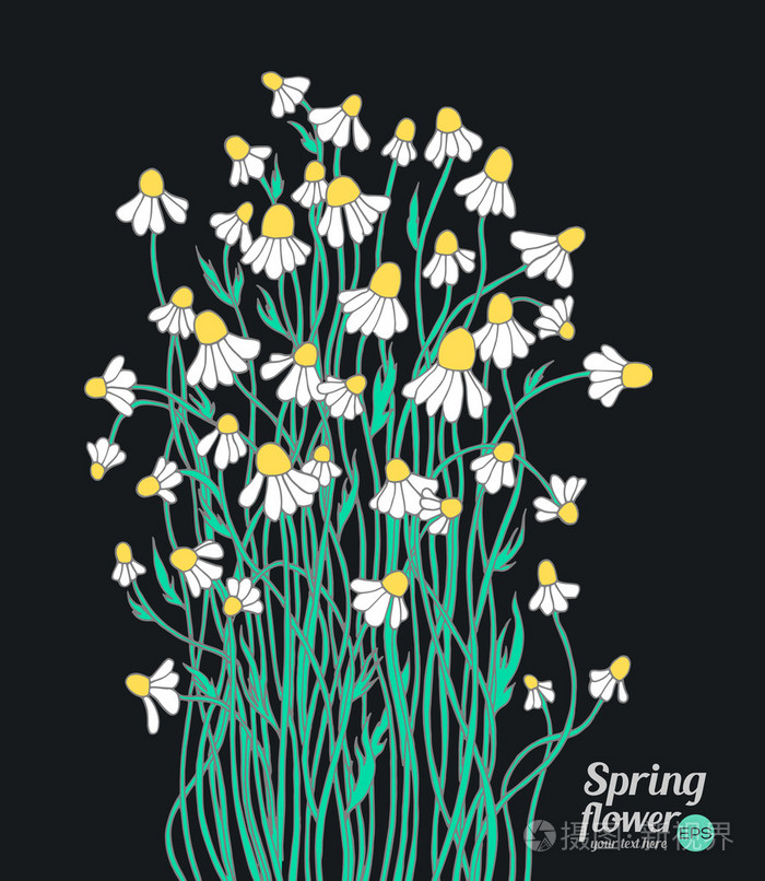 洋甘菊野生森林花束插画-正版商用图片0pnbyg-摄图新视界