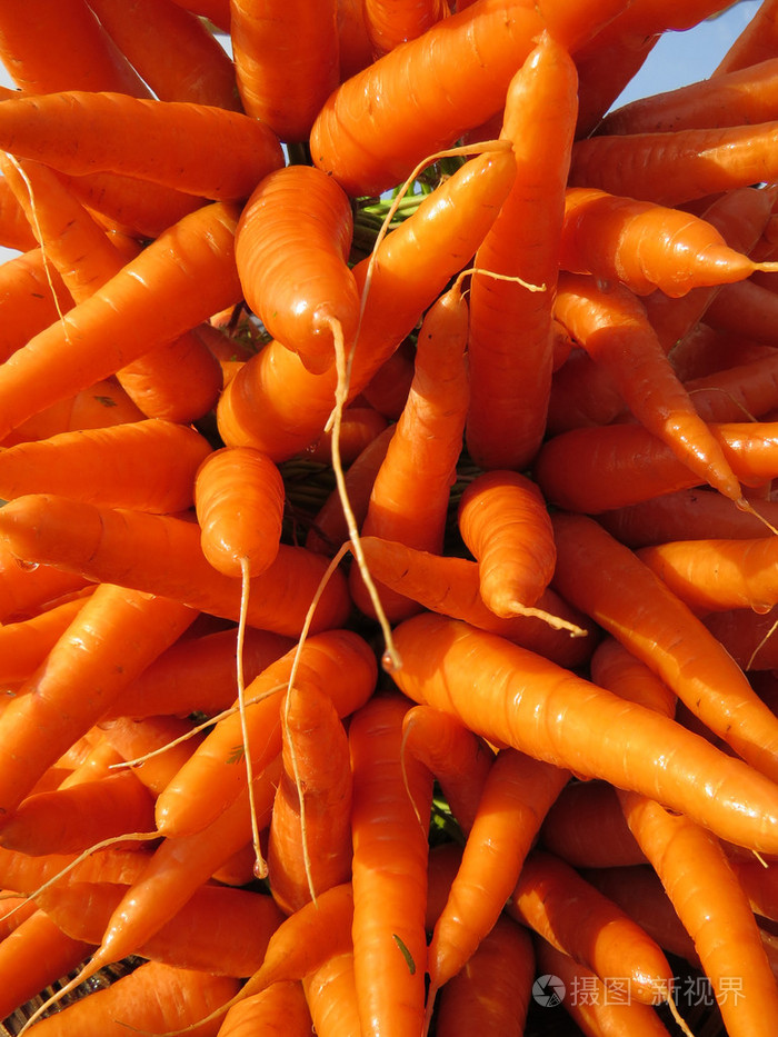 鲜橙色胡萝卜