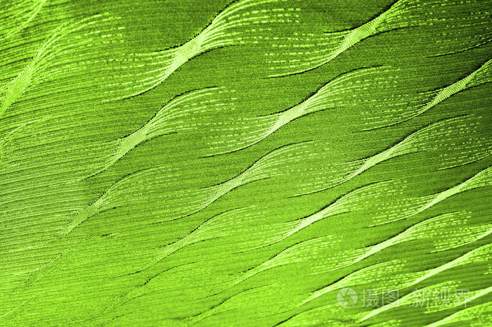 丝绸布上的绿颜色是一种线纹, 绝对是一个独特的细节, 这绿色抽象层压