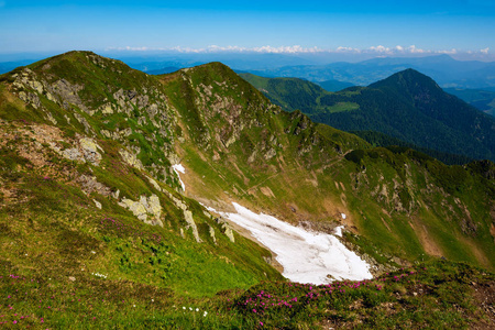 令人敬畏的山景落基山坡形成风景如画的山马戏团, 覆盖着绿色茂盛的草地和在蓝天背景野花。广角