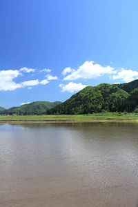 春季, 稻田, 秋田, 日本, 景观