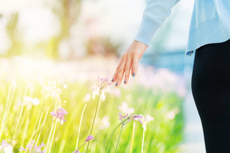 田野里的女人和花朵。女性手摸紫色的花朵与复制空间