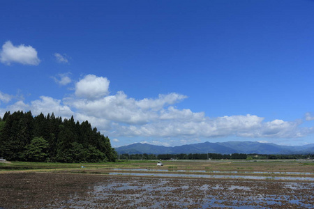 春季, 稻田, 秋田, 日本, 景观