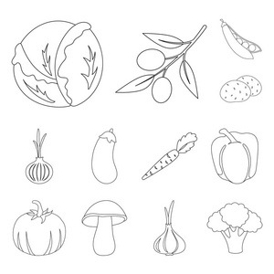 不同种类的蔬菜大纲图标集合中的设计。蔬菜和维生素矢量符号股票网站插图