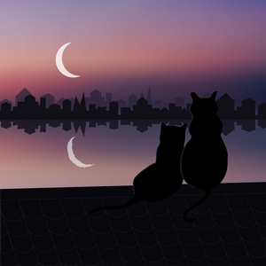 两只猫在屋顶上照片