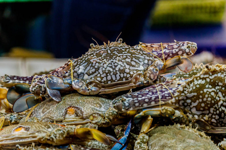 在泰国当地市场销往新鲜海螃蟹