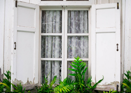 窗户打开窗帘与蕨类植物从外面回家和装饰理念