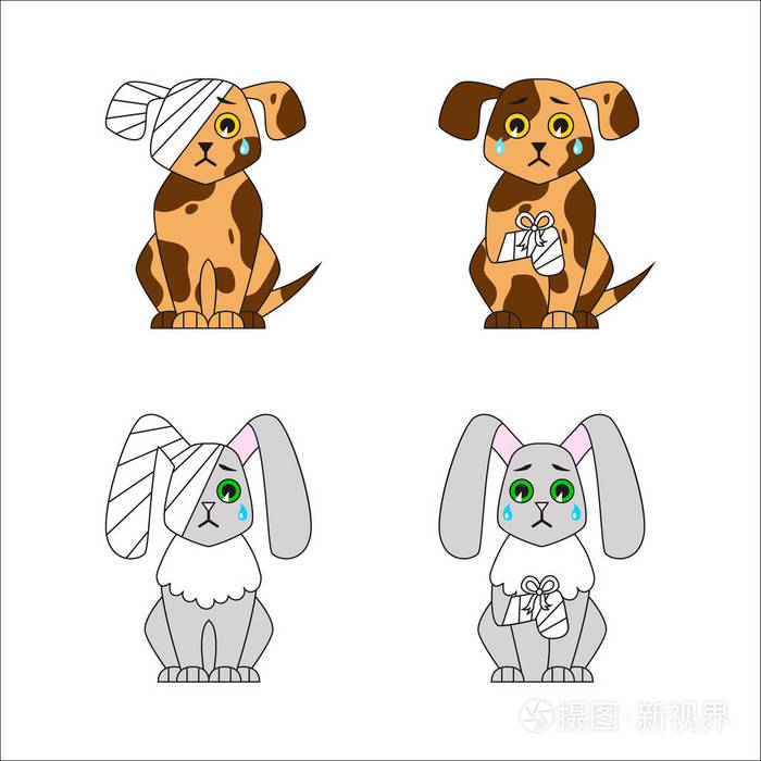 受伤的狗和兔子用绷带折断或受伤的腿和头兽医急救帮助可悲的小狗和