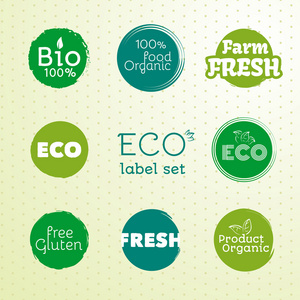 绿色生态食品标签中。矢量图