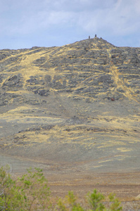 草原是 woodless 的, 湿气较差, 通常与干燥气候区的草植被平坦。草原, veld, 草原