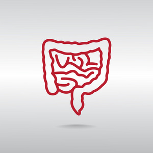人体肠道图标