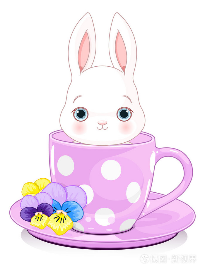 茶杯里只白色的兔子