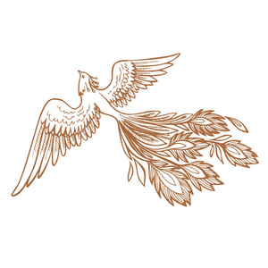 手绘凤凰纹身日本和中国风格, 传说的国产是俄罗斯童话, 它是生物从