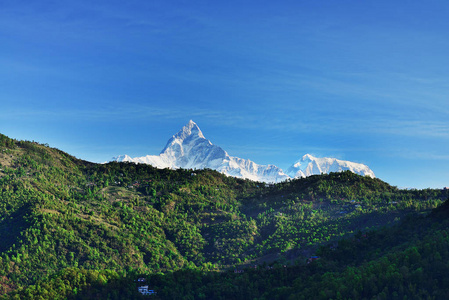 Machapuchare 鱼尾 从尼泊尔布尔纳地区 Sarangkot 的看法