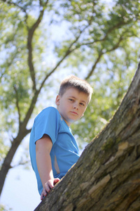 一个十几岁的年轻人在公园散步时为摄影师拍照。爬上一棵树, 坐在
