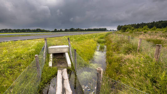 荷兰公路下的动物穿越涵洞地道的广场野生动物