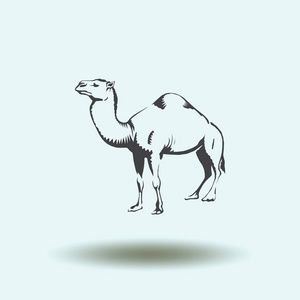 骆驼的图标的轮廓矢量图