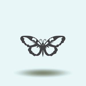 蝴蝶标志图形设计概念