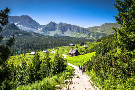 从徒步越过 tatra 山脉的景色。波兰。欧洲