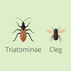 多彩的昆虫图标孤立野生动物翼细节夏天蠕虫卡特彼勒 bug 野生矢量图