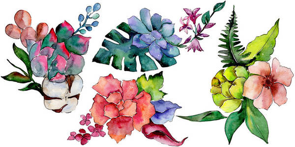 热带花束花。花卉植物花。野生春叶野花分离。背景质地包装图案框架或边框的水彩画野花
