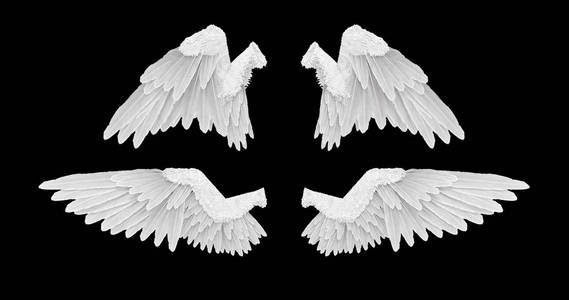 3d 渲染黑色背景的白色天使翅膀照片