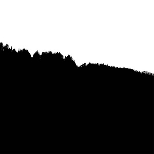 黑森林的剪影。白色背景上孤立