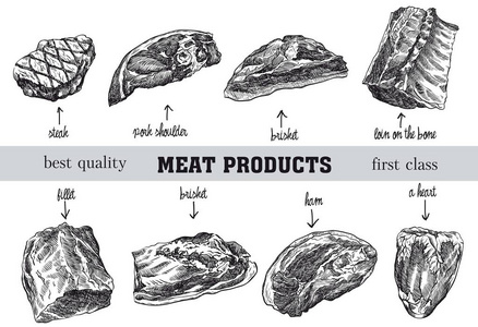 肉产品草图