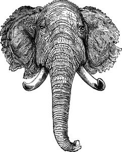 复古形象大象