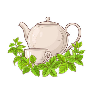茶壶中的梅丽莎茶白色背景插图