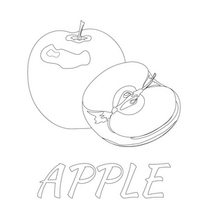 苹果。为着色书页。涂鸦设计。水果。矢量图