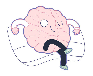 至上,大脑集合照片