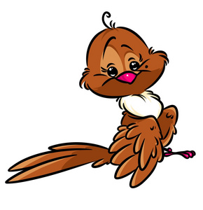 麻雀飞速的小鸟图片