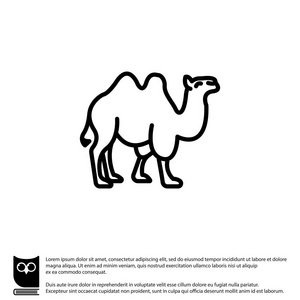 骆驼的野生动物图标