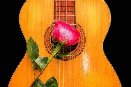 在旧吉他上的一朵玫瑰
