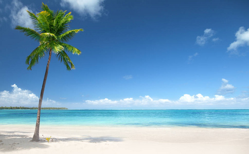 棕榈海滩, 多米尼加共和国
