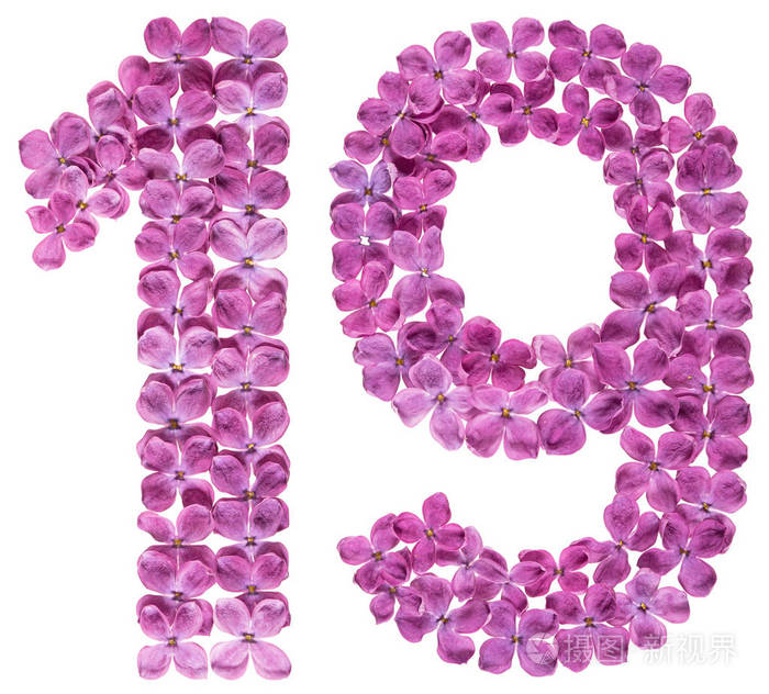 阿拉伯文数字19十九从丁香花被隔绝在白色背景上